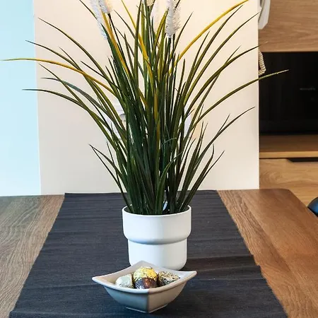 N10 Appartement Belgrado